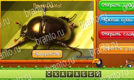 Игра Угадай животных ответы одноклассники, вк Уровень 243