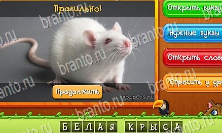 Игра Угадай животных подсказки вк Уровень 244