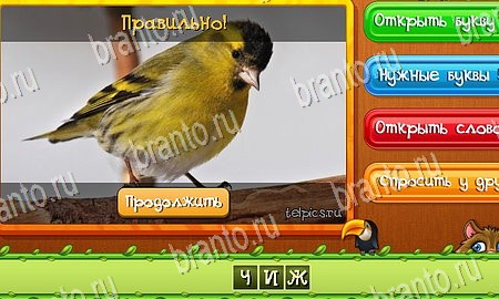 игра Угадай животных ответы в одноклассниках на Уровень 246