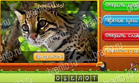 Угадай животных игра из одноклассников решения Уровень 248