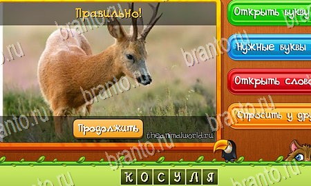 Угадай животных игра ответы ВК Уровень 249