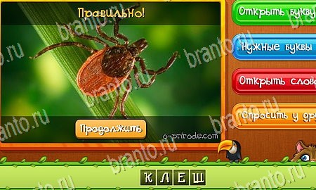 Угадай животных игра вконтакте подсказки Уровень 250