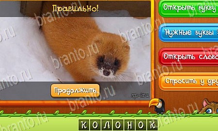 ответы на игру Угадай животных в одноклассниках Уровень 401