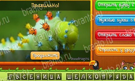 ответы на игру Угадай животных в одноклассниках Уровень 402