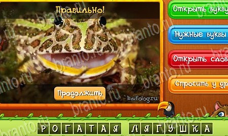 Подсказки на игру Угадай животных Эпизод 17 Уровень 403