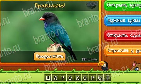Решения на игру Угадай животных Эпизод 17 Уровень 404