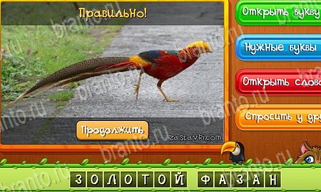 Помощь на игру ВК Угадай животных Уровень 405