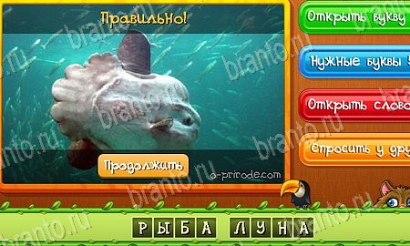 ответы на игру в одноклассниках Угадай животных Уровень 407