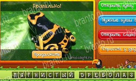 Угадай животных игра ответы в одноклассниках Уровень 408