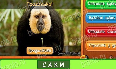 Угадай животных подсказки в контакте Уровень 410