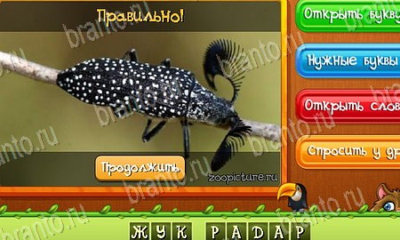 игра Угадай животных разгадки, ответ на Уровень 411