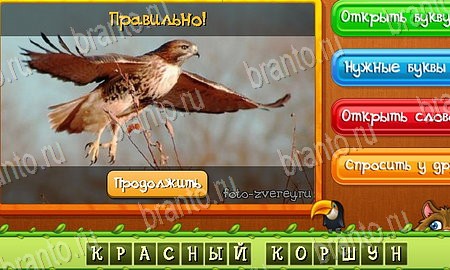 решебник на игру Угадай животных Уровень 412