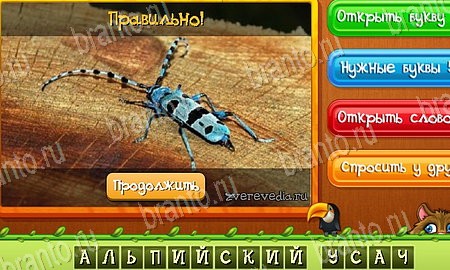 Угадай животных решения на игру из одноклассников Уровень 413