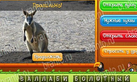 Угадай животных игра ответы на все задания Уровень 414