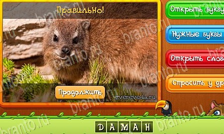 Угадай животных ответы в картинках в контакте Уровень 417