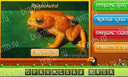 Игра Угадай животных подсказки вк Уровень 419