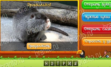 игра Угадай животных помощь одноклассники Уровень 420