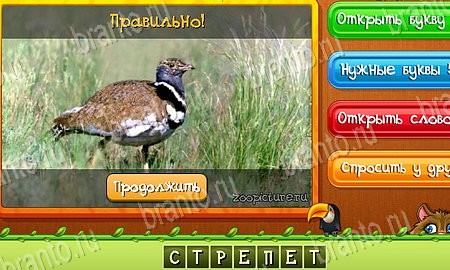 игра Угадай животных ответы в одноклассниках на Уровень 421