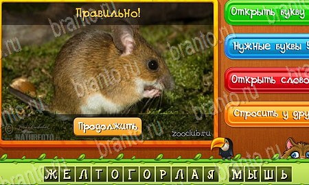 решебник на игру Угадай животных Уровень 422