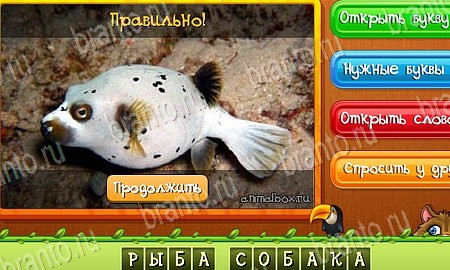 Угадай животных игра из одноклассников решения Уровень 423