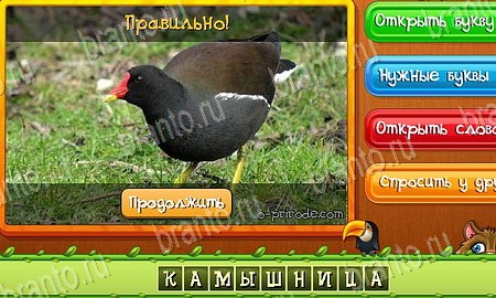 ответы на игру Угадай животных в одноклассниках Уровень 426