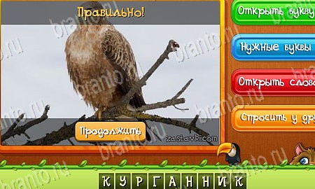 ответы на игру Угадай животных в одноклассниках Уровень 427