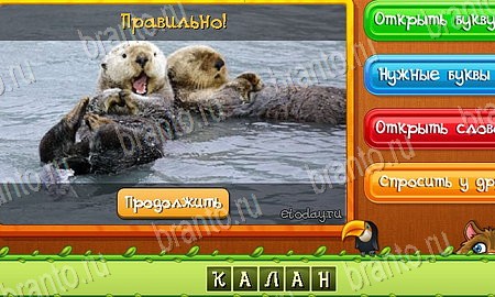 Подсказки на игру Угадай животных Эпизод 18 Уровень 428
