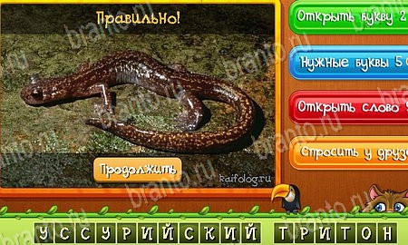 Решения на игру Угадай животных Эпизод 18 Уровень 429
