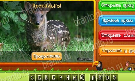 ответы к игре Угадай животных в контакте Уровень 431