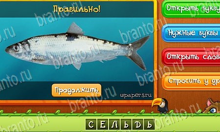 ответы на игру в одноклассниках Угадай животных Уровень 432