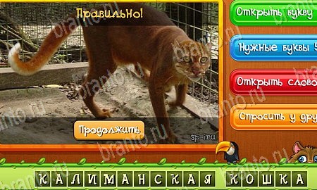 Угадай животных игра ответы в одноклассниках Уровень 433