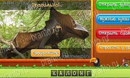 Одноклассники Угадай животных ответы Уровень 434