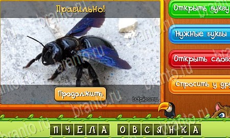 игра Угадай животных разгадки, ответ на Уровень 436