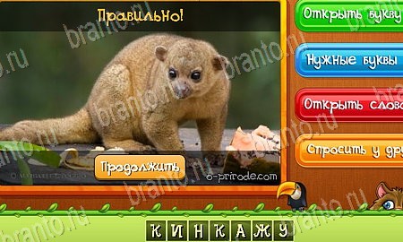 решебник на игру Угадай животных Уровень 437