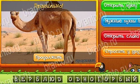 Угадай животных решения на игру из одноклассников Уровень 438