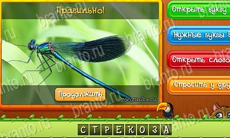 Угадай животных игра в контакте подсказки Уровень 440