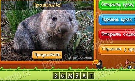 Угадай животных ответы в картинках в контакте Уровень 442