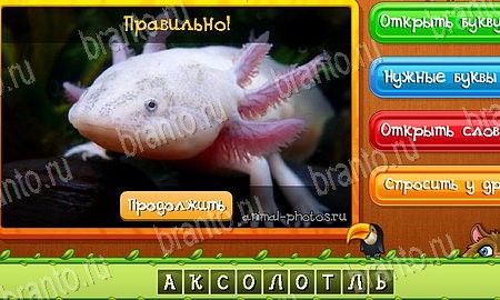 Игра Угадай животных подсказки вк Уровень 444