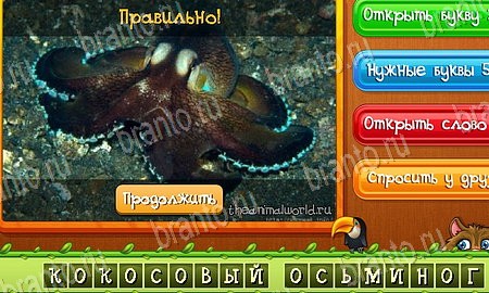 игра Угадай животных ответы в одноклассниках на Уровень 446