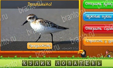 Угадай животных игра ответы ВК Уровень 449