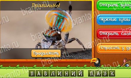 ответы на игру Угадай животных в одноклассниках Уровень 451