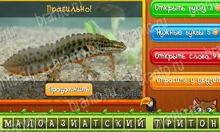 ответы на игру Угадай животных в одноклассниках Уровень 452