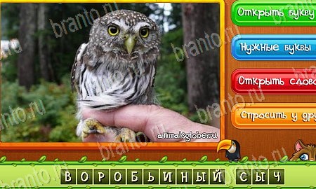 Решения на игру Угадай животных Эпизод 19 Уровень 454