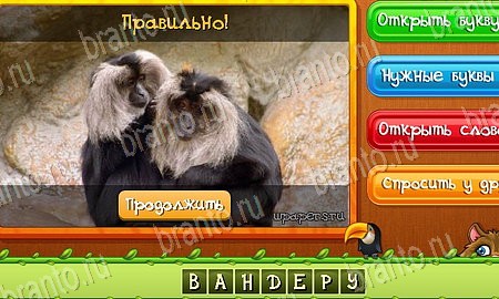 ответы на игру в одноклассниках Угадай животных Уровень 457