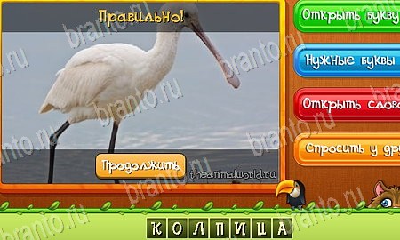 Угадай животных игра ответы в одноклассниках Уровень 458