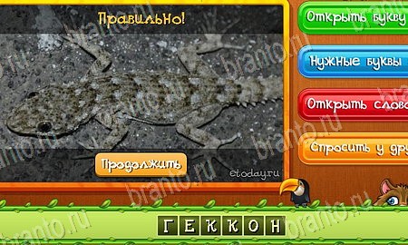 Одноклассники Угадай животных ответы Уровень 459