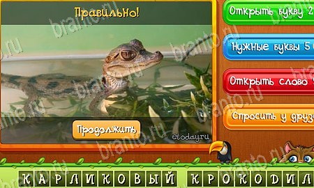 Угадай животных подсказки в контакте Уровень 460