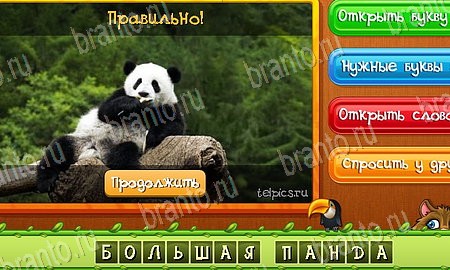 Угадай животных решения на игру из одноклассников Уровень 463