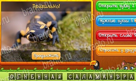 Угадай животных игра ответы на все задания Уровень 464