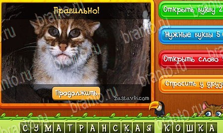Угадай животных игра в одноклассниках помощь Уровень 466